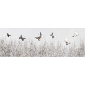 Wandbild, Motiv Butterfly meadow, L 150 cm