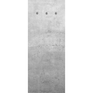 Glasgarderobe, Motiv-Beton, 5 Haken, Glas, 50x125x3 cm