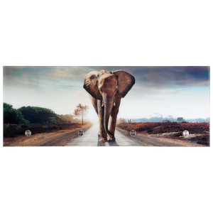 Glasgarderobe, Motiv-Elefant, 4 Haken, Glas, 30x80x3 cm
