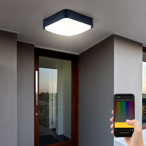 Smart LED Wand- und Deckenleuchte,  dimmbar LxH 25x8cm