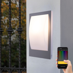 LED Außenwandlampe, Smart Home, Edelstahl, H 29 cm