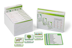 Phonogramme - 9 Boxen mit Bild- und Wortkarten ab Klasse 1