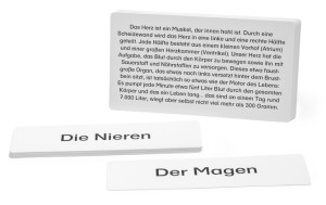 Legematerial für den Lernteppich Körper und Organe