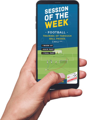 Download (CW 42) - training of through ball passes (Football)
