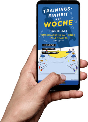 Download (KW 12) - Umschaltspiel auf einer Hallenebene (Handball)