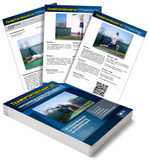 Heimtraining Kartothek (30 Karten) - 30 Home-Workouts zur Verbesserung der Kraftfähigkeit