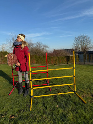 Hobby Horse obstacles (22-piece) - 2 colours