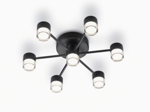 Helestra Deckenleuchte KALA mattschwarz 5-5008.22 25 W IP20