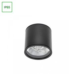 Deckenspots schwarz D-120mm AR111 GU10 IP65 rund