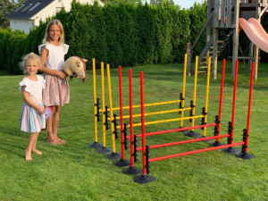 Hobby Horse obstacles (indoor/outdoor) - set of 6