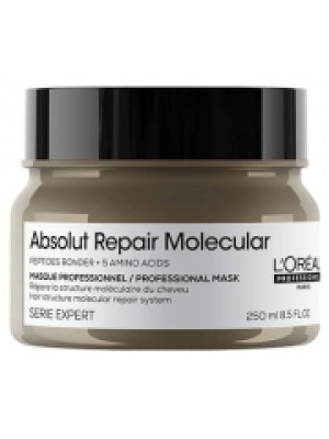 L'Oréal Professionnel Absolut Repair Molecular L'Oréal Masque Réparateur Absolut Repair Molecular L'Oréal Pro 250ml
