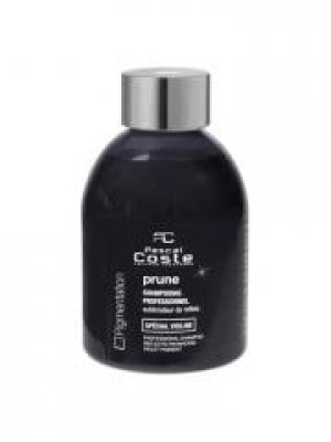 Pascal Coste Shampooing Sublimateur de reflets Prune