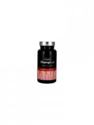 ChampiLab Complexe Énergie Cordyceps 60 Gélules - Pot 60 Gélules
