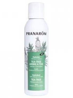 Pranarôm Hydrolat Tea Tree Arbre à Thé Bio 150 ml - Flacon-Vaporisateur 150 ml