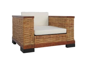vidaxl Sillón con cojines ratán natural marrón