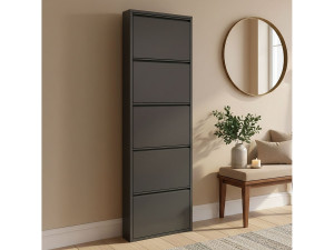 Dmora Dandracchi Schoenenrek, Metalen Schoenenkast, Multifunctionele Entreekast, Schoeiselkast, 50x15h172 cm, Zwart