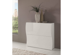 Dmora Dabayom schoenenrek, Multifunctionele kast met 2 vouwdeuren, Ingang schoenenrek, 100% Made in Italy, 101x27h82 cm, Glanzend wit