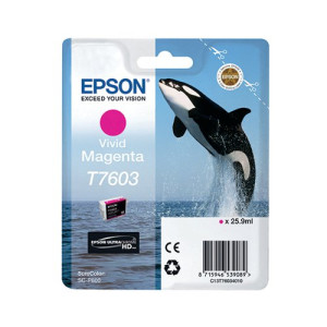Epson T7603 Ink Cartridge Ultra Chrome HD Killer Whale Vivid Magenta C13T76034010