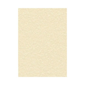 Decadry Parchment A4 Letterhead Paper 95gsm Champagne (Pack of 100) PCL1601