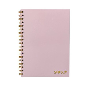 Pukka Pads Carpe Diem Wirebound Hardback Notebook Pink B5 9376-CD