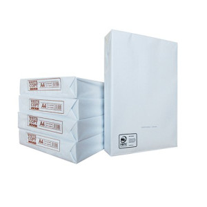 Copier Paper 70 GSM A4 White Ream Wrapped (Pack of 2500) WX01087