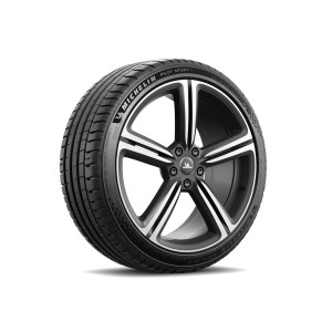 Pneu MICHELIN 255/35R21 98Y Pilot Sport 5 XL EcoContact 6 Q