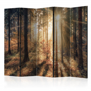 Paravan - Autumnal Forest II [Room Dividers]