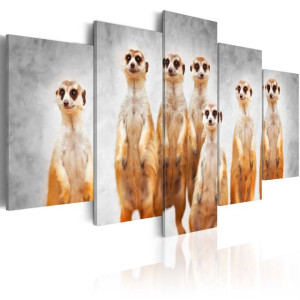 Tablou - Meerkats