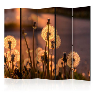 Paravan - Farewell to Summer II [Room Dividers]