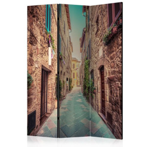Paravan - Magic Tuscany [Room Dividers]