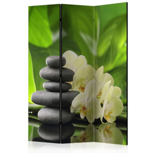 Paravan - Spa Garden [Room Dividers]