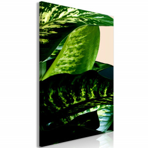 Tablou - Dieffenbachia (1 Part) Vertical
