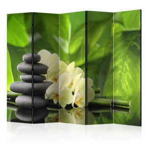 Paravan - Spa Garden II [Room Dividers]