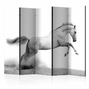 Paravan - White gallop II [Room Dividers]