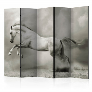 Paravan - Wild Stallion II [Room Dividers]