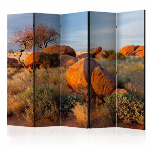 Paravan - African landscape, Namibia II [Room Dividers]