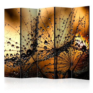 Paravan - Dandelions in the Rain II [Room Dividers]