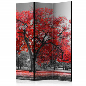 Paravan - Autumn in the Park [Room Dividers]