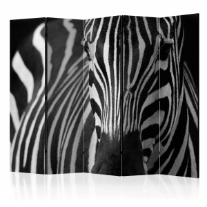 Paravan - White with black stripes II [Room Dividers]