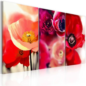 Tablou - Poppies - three perspectives
