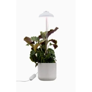 AIRAM Iris Växtbelysning 5W Dim med touch 9610533 Replace: N/A
