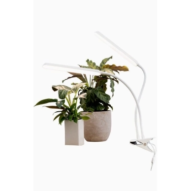 AIRAM Tulip Växtbelysning 16W 780lm Dim med touch 9610539 Replace: N/A