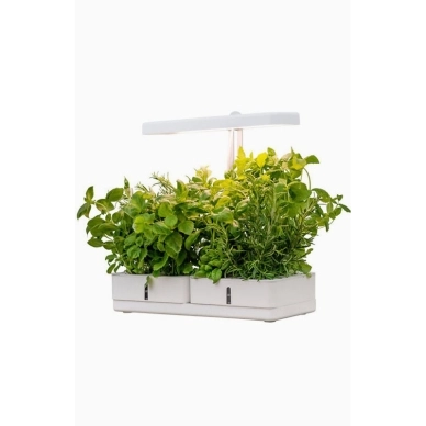 AIRAM Daisy Växtbelysning 20W 1450lm 9610541 Replace: N/A