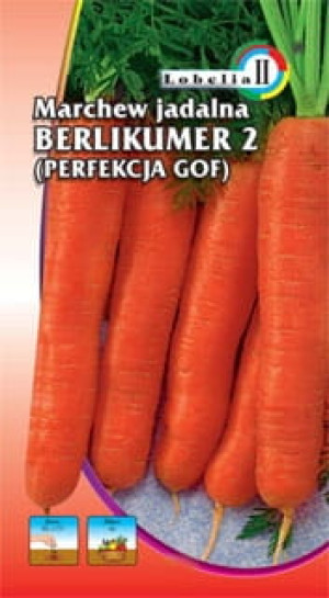 Marchew BERLIKUMER 2 typ perfekcja 5g / L /