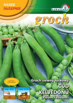 Groch Cud Kelvedonu 20g / L /