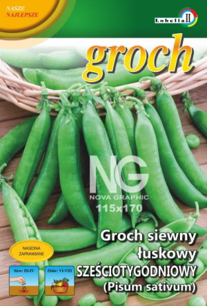 Groch łuskowy Sześciotygodniowy 20g / L /