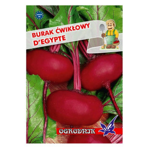 Burak kulisty spłaszczony D'Egypte 10g / O /