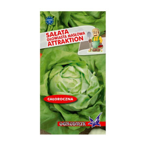 Sałata masłowa Attraktion 2g / O /