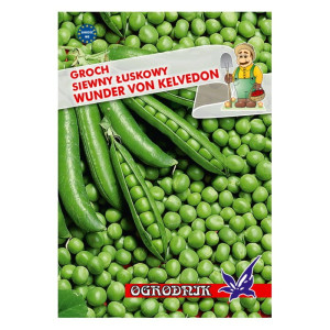 Groch łuskowy Wunder von Kelvedon 40g / O /