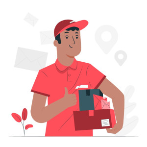 Kurier 24 DPD/DHL